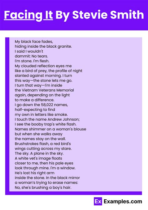 Facing It Poem Analysis