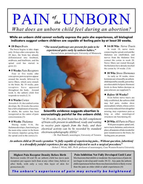 Fact Sheet Science Of Fetal Pain Lozier Institute Science Sheet - Science Sheet