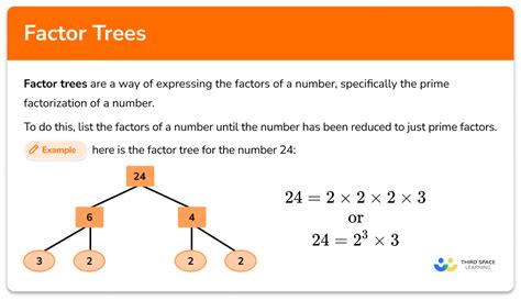 Factor Of 24