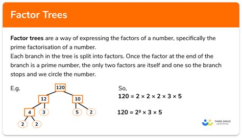 Factor Trees Gcse Maths Steps Examples Amp Worksheet Prime Factorization Tree Worksheet - Prime Factorization Tree Worksheet