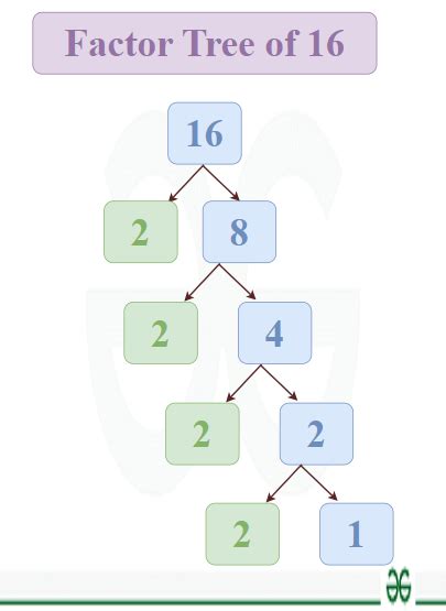 Factors Of 16
