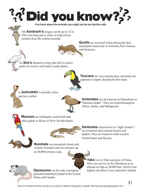Facts About Animals Sciencewithkids Com Cool Science Facts About Animals - Cool Science Facts About Animals