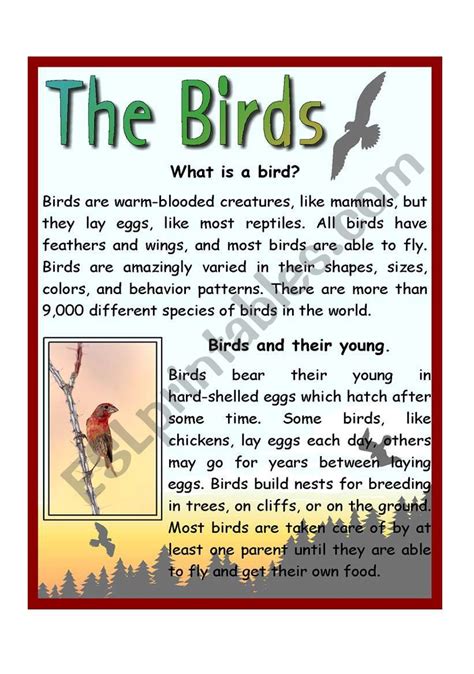 Facts About Birds Worksheet Also 61 Best Angry Angry Birds Worksheet - Angry Birds Worksheet