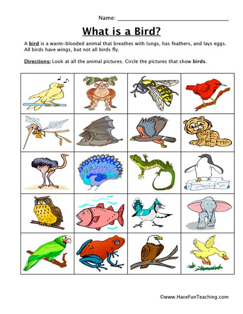 Facts About Birds Worksheet Also Math Worksheet Preschool Birds Worksheet For Grade 3 - Birds Worksheet For Grade 3