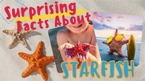 Facts About Starfish Science With Kids Com Facts About Starfish For Kindergarten - Facts About Starfish For Kindergarten