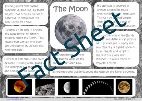 Facts About The Moon Teaching Resources Tpt 1st Grade Moon Facts Worksheet - 1st Grade Moon Facts Worksheet