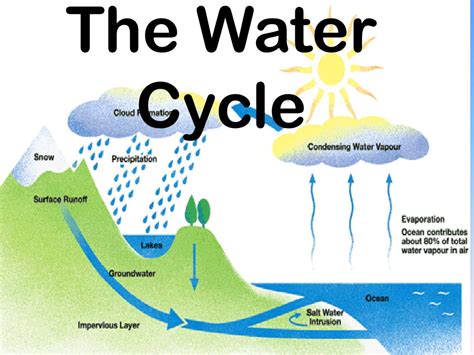 Facts About The Water Cycle Powerpoint Ks2 Primary Water Cycle Powerpoint 4th Grade - Water Cycle Powerpoint 4th Grade