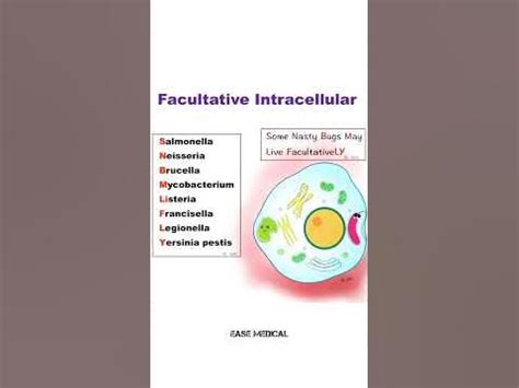 Facultative Intracellular