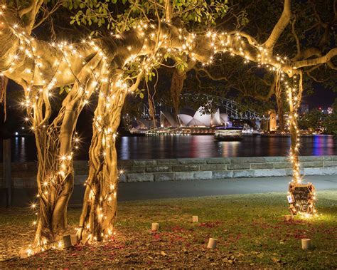 fairy lights sydney