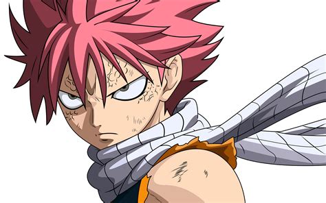 fairy tail - Who are Natsu