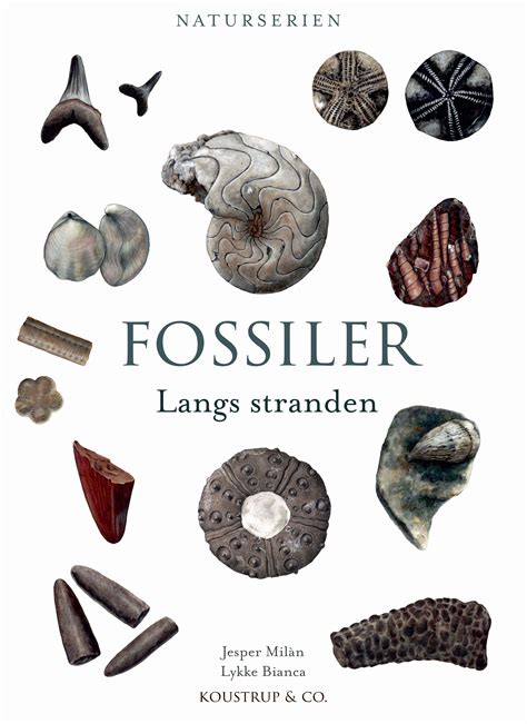 fakta om fossiler
