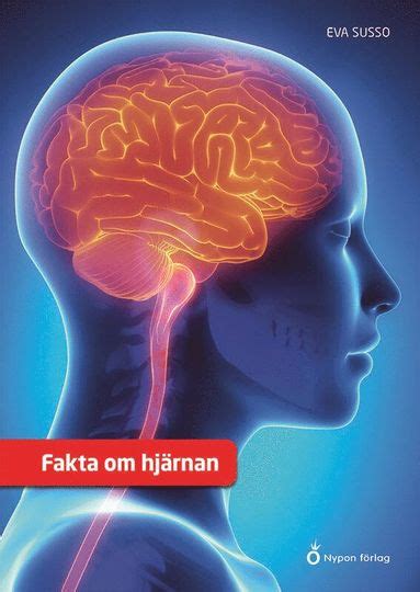 fakta text om hjarnan