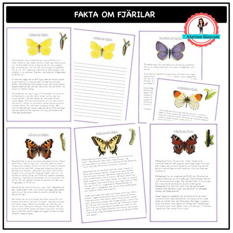 faktatext fjäril barn