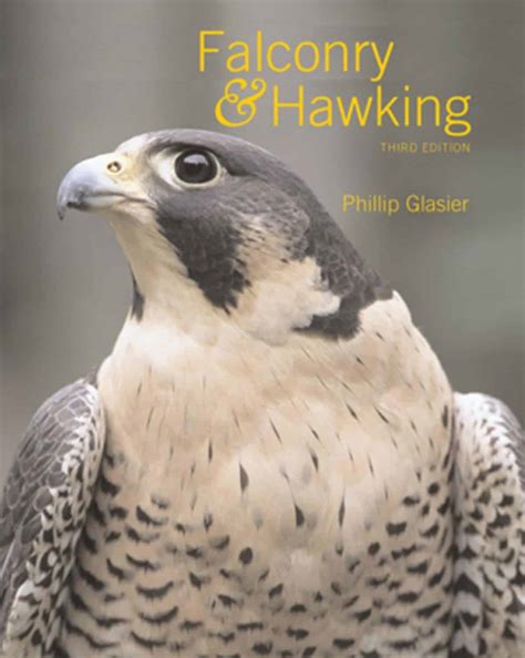 Falconry Study Guide