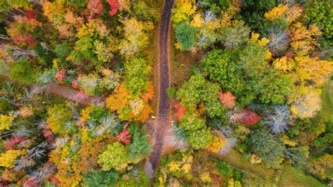 fall colors