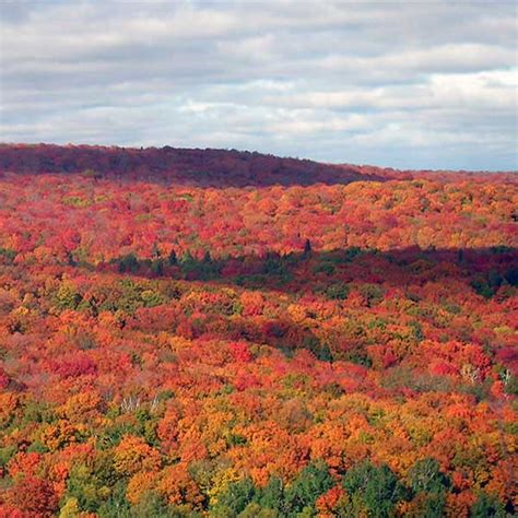 fall colors mn