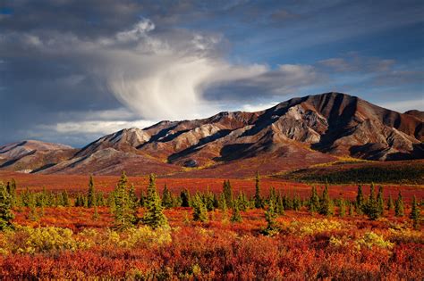 fall in alaska