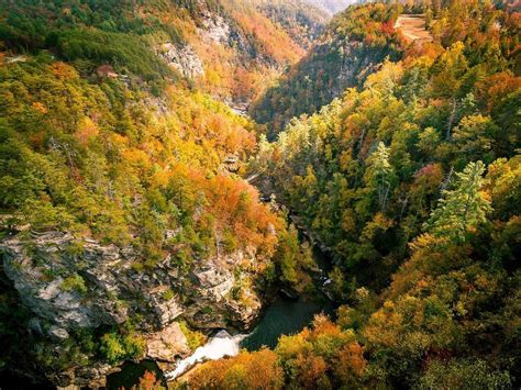 fall in georgia