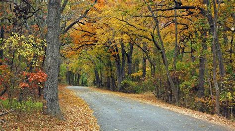 fall in texas