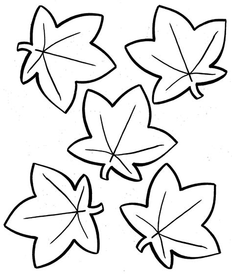 Fall Leaves Coloring Page Trail Of Colors Fall Leaves Color Pages - Fall Leaves Color Pages