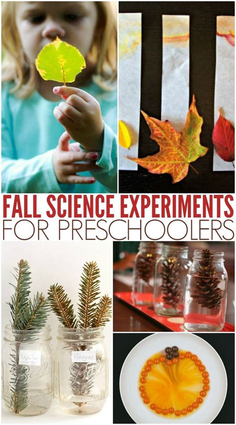 Fall Preschool Science Activities Fall Preschool Science Activities - Fall Preschool Science Activities