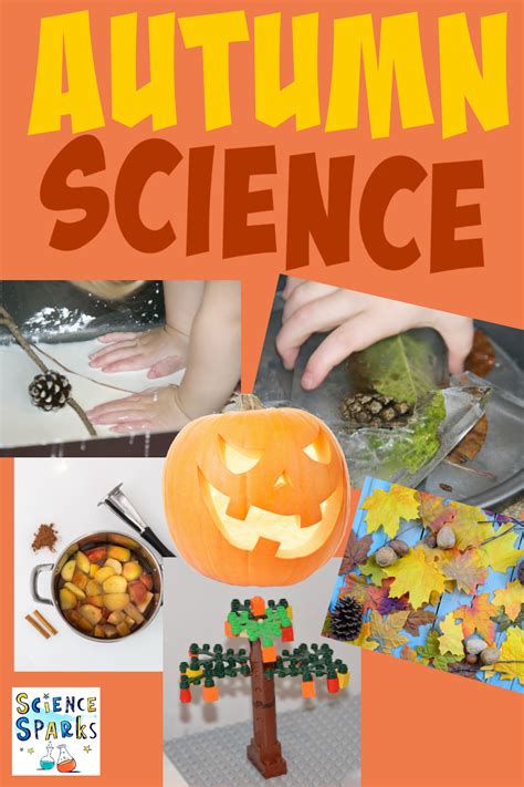 Fall Science Activities Free Fall Science Worksheets For Fall Science Activities - Fall Science Activities