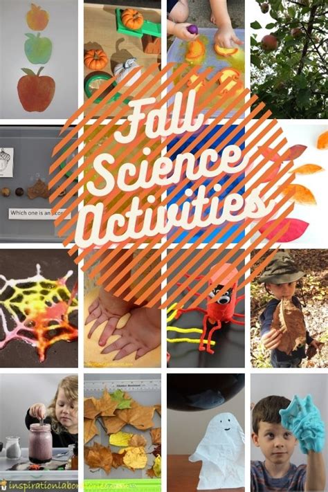 Fall Science Activities Inspiration Laboratories Fall Science Activities - Fall Science Activities