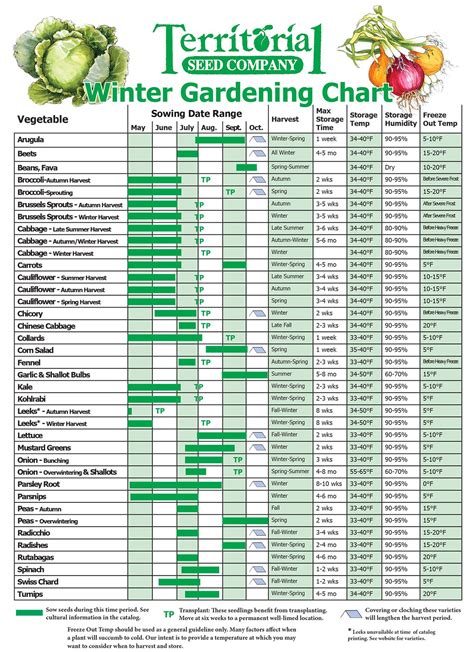 Fall Vegetable Planting Dates
