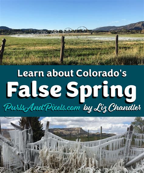 False Spring Meaning
