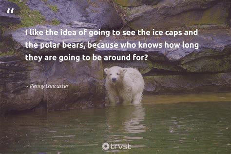 Famous Polar Bear Quotes