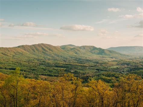 fancy gap virginia