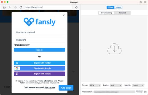 fansly log in