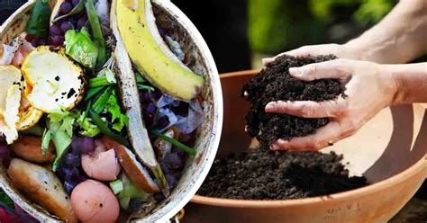 Fare Il Compost