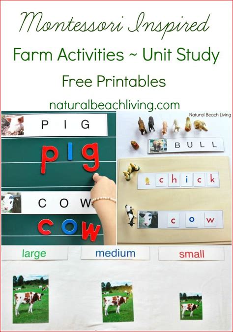Farm Theme Unit Study With Free Printables Natural Farm Unit Kindergarten - Farm Unit Kindergarten