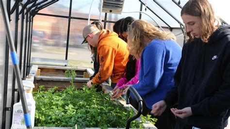 Farm To Desk Holloway High Students Hope To Community Kindergarten - Community Kindergarten