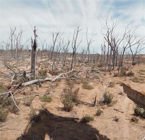 farmweekly.com.au: «Wheatbelt farmers unite for salinity fight»