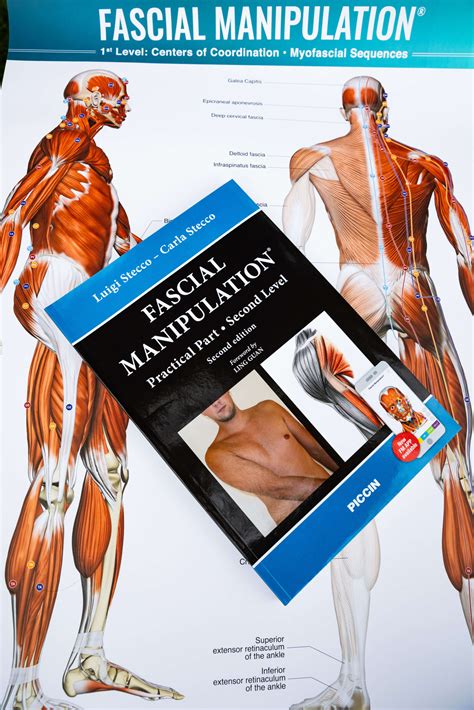 Fascial Manipulation Practical Part