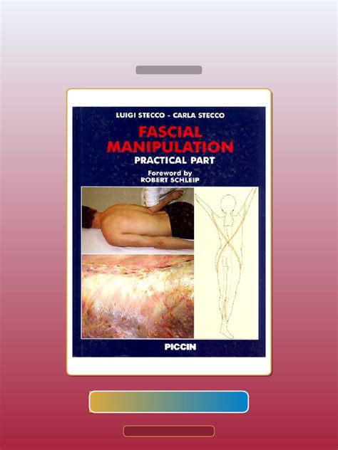 Fascial Manipulation Practical Part Pdf