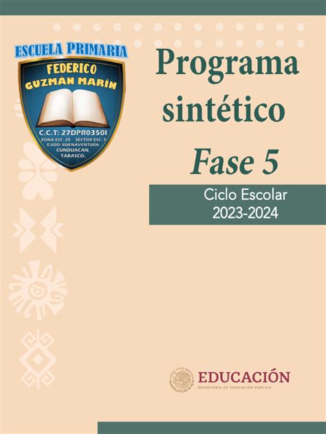 Fase 5 Programa Sintetico