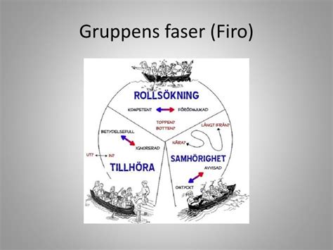 faser gruppdynamik
