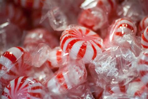 Fast Food Can Peppermint Improve Reaction Times Science Reaction Time Science Experiments - Reaction Time Science Experiments