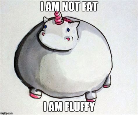Fat Unicorn Memes