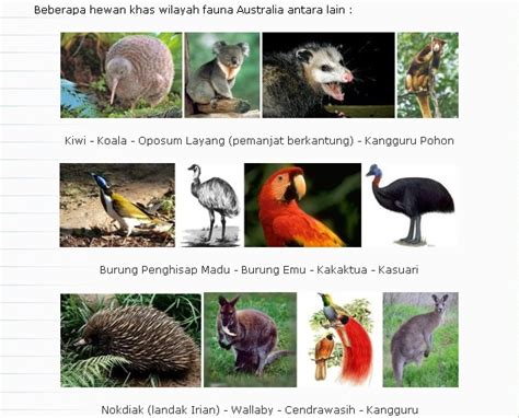 fauna kawasan indonesia barat
