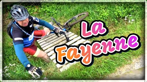 fayenne populariteit