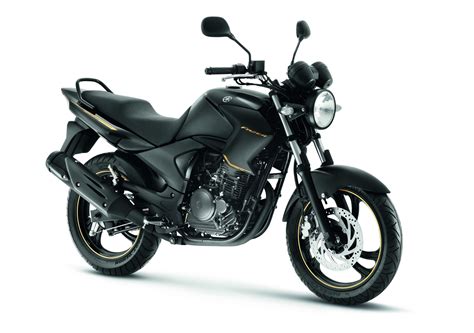 Fazer 250 2010