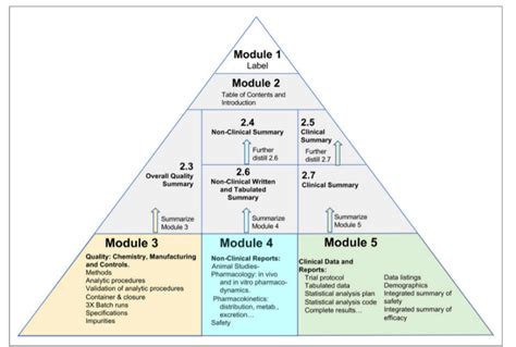 fda ind module 1 template