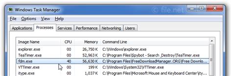 fdm.exe Windows process - What is it? - file