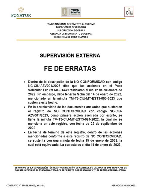 Fe De Erratas Ejemplo