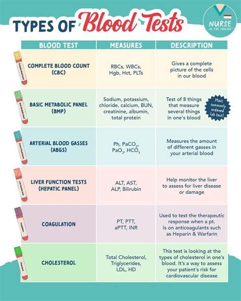 Fe Studies Blood Test