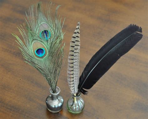Feather Quills For Use In Hootoo Rootwork Feather Writing Quill - Feather Writing Quill